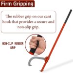 61ebWYtGQcL._AC_SL1500_