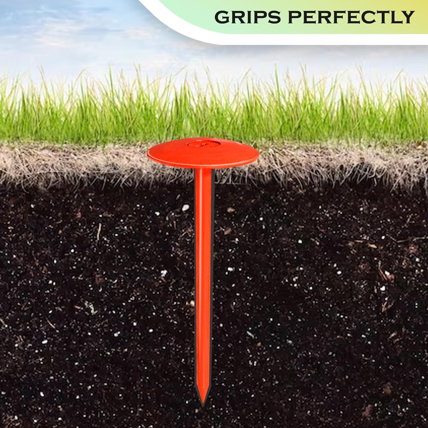 81Qu0DVQMmL._AC_SL1500_